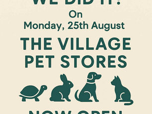 Our Dream Come True: The Opening of Village Pet Stores