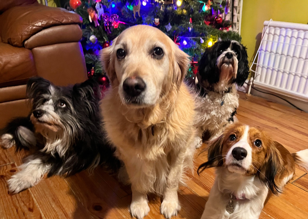 Goodbye 2023, Hello 2024....