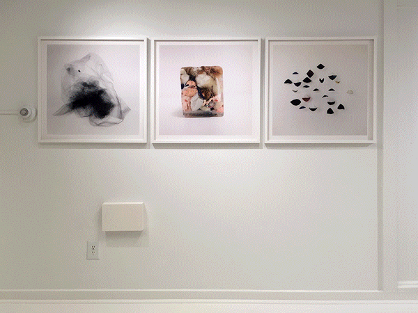 Collective-Gallery,-NY.gif