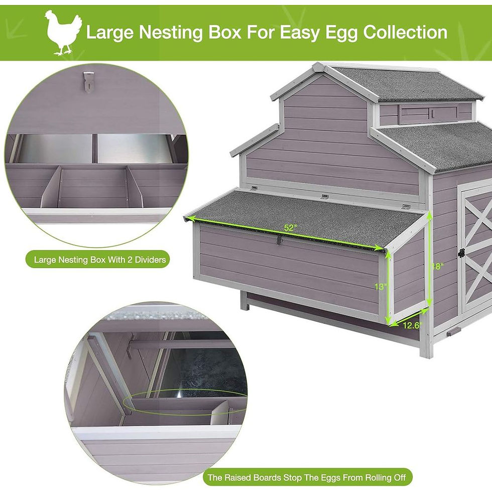 Thumbnail: Large Wooden Chicken Coop with Run and Nesting for 8-10 Hens