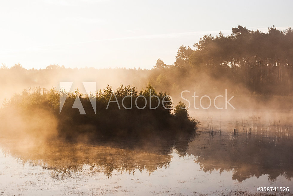 AdobeStock_358741526_Preview.jpeg