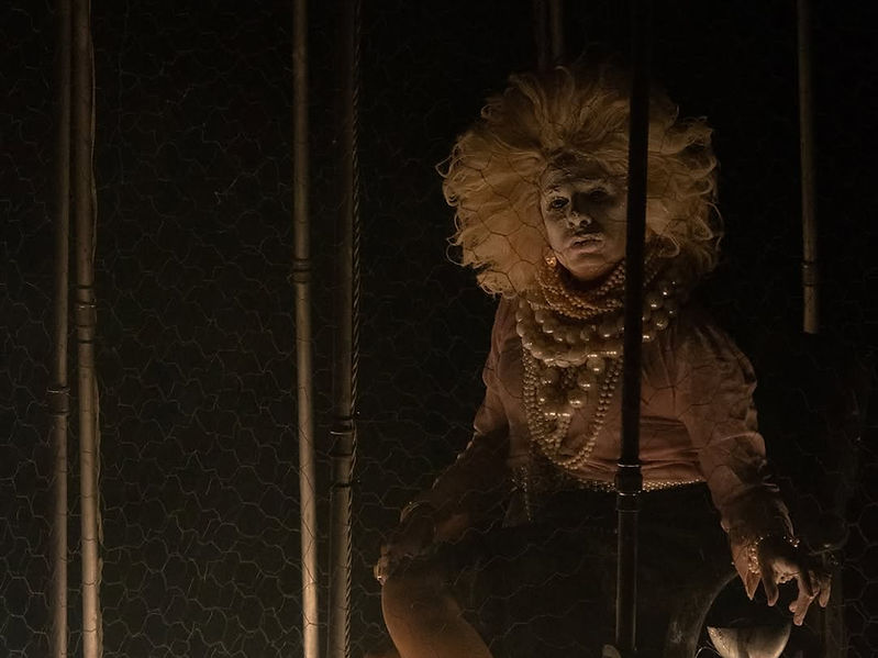 Arte..Em 2026, A Mulher Monstro vai comemorar 10 anos em cartaz! .Foto de Pat Mattos._edit