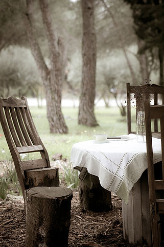 A Moment Elsewhere, Natalie Shriki S.jpg