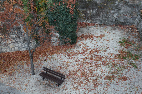 נפילה פתאומית לבור או הזדמנות לבחירה