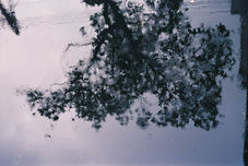 Rain Drops on Water
