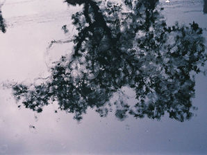 Rain Drops on Water
