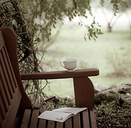 Daydream, Natalie ShrikiS2.jpg