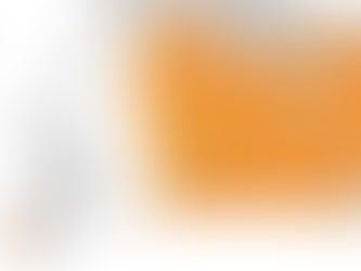 Savannah Lithium Suffers Blow in Portugal and London