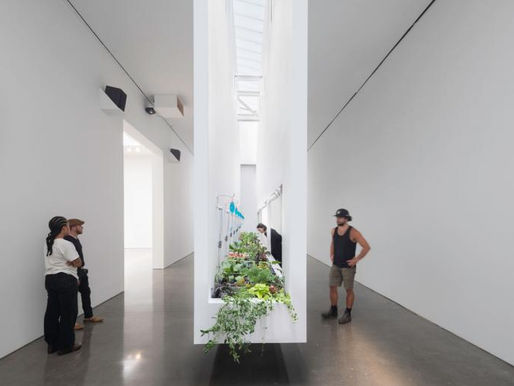 Compulsion to Farm: An Art Form