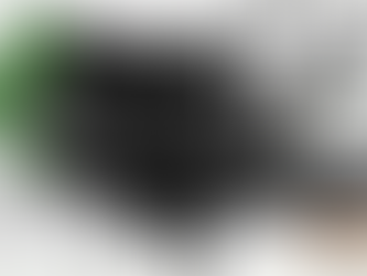 "Ecotopia" Trashes 40-Hour Workweek