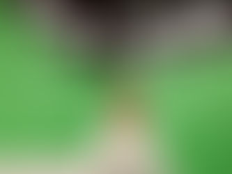 Portugal Seeks Immigrants to Boost Population