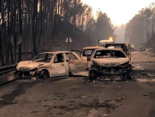 Pedrógão Grande Fire 4 Years Ago: 11 on Trial Now