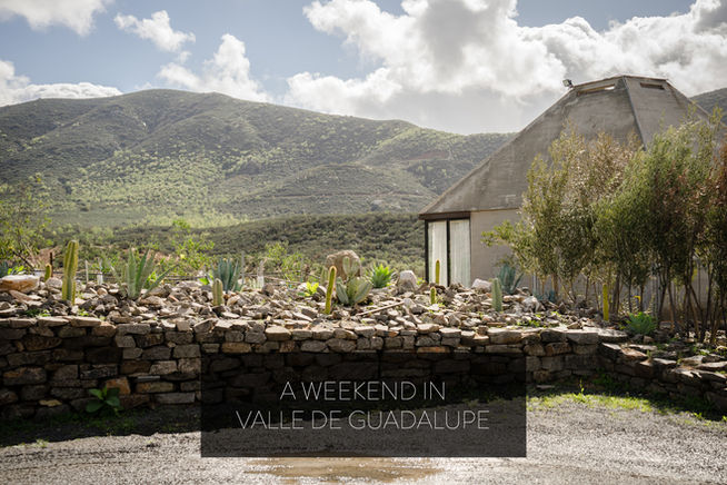 A Weekend in Valle de Guadalupe