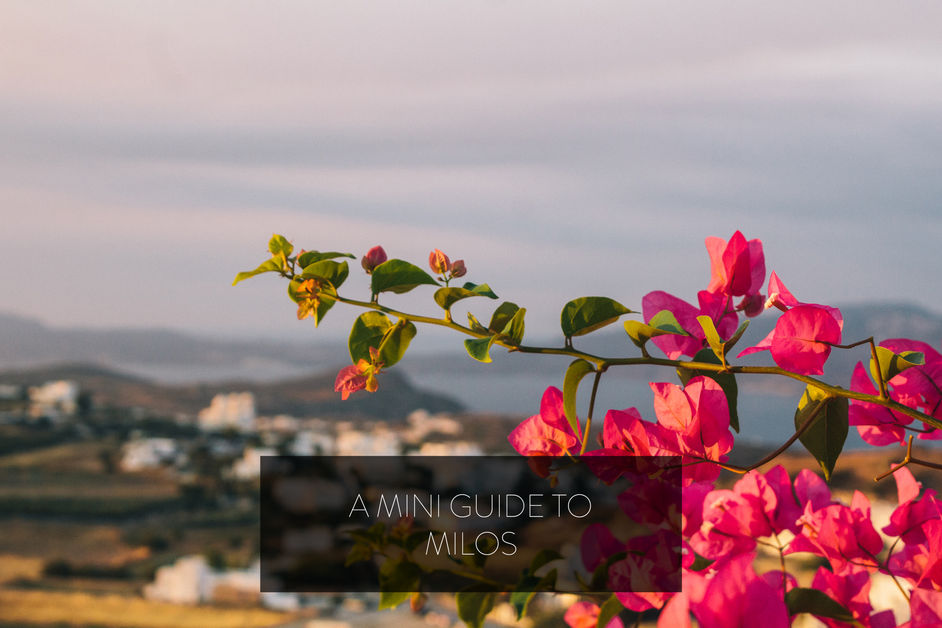 A Mini Guide to Milos