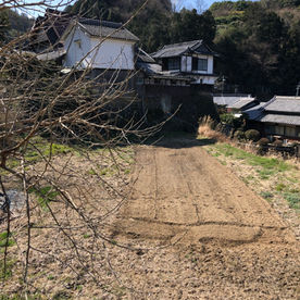 IMG_3562 大.jpeg