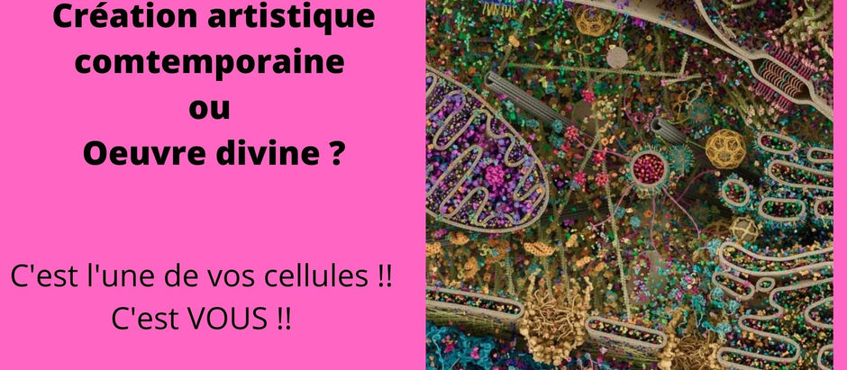 Œuvre d’art contemporaine ou Création divine ? Le soin énergétique en image à Salon de Pce