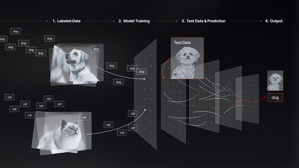 이미지 분류의 과정