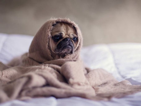 5 Things Event Profs Should be Doing Before Bed
