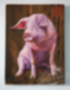 Signe astrologie chinoise - Le Cochon - Zhū