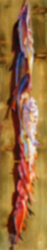 poissons des lagons de polynésie a vendre tableau Donatien Jumel