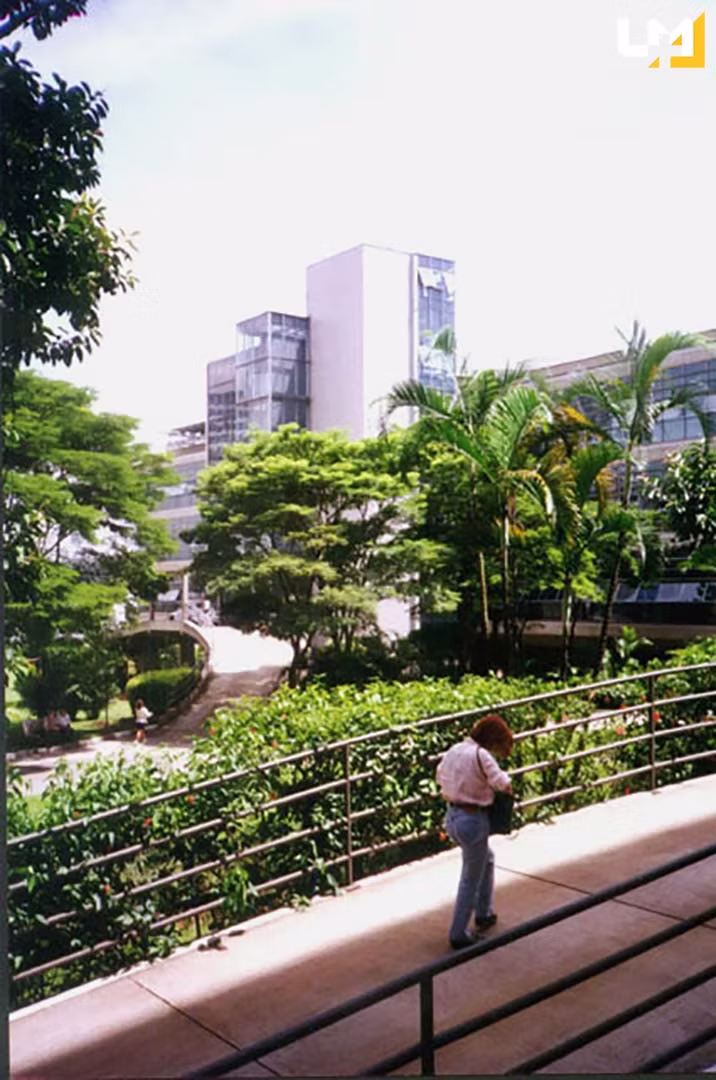 Complexo Hospitalar Edmundo Vasconcelos — imagem 2