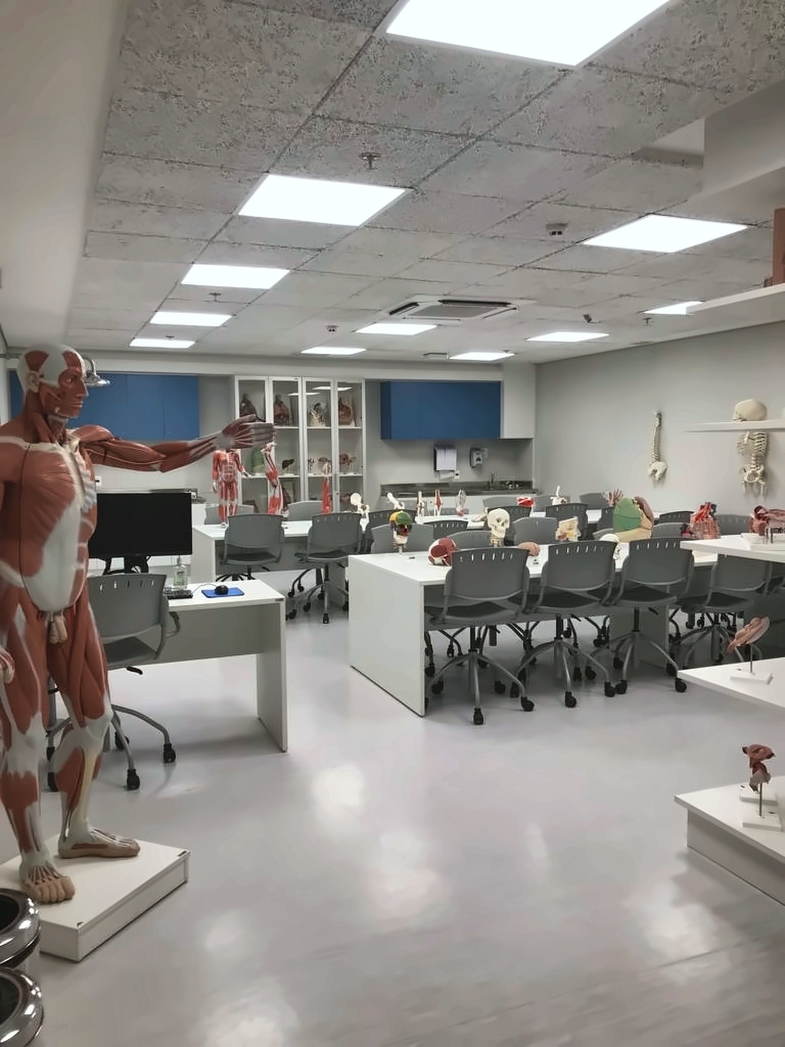 Faculdade Moinhos de Vento — imagem 3