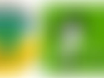 Imbroglio autour de l’identité du/de la colistièr(e) de Wadagni: Est-ce toujours Chabi Mariam Talata, la colistière?