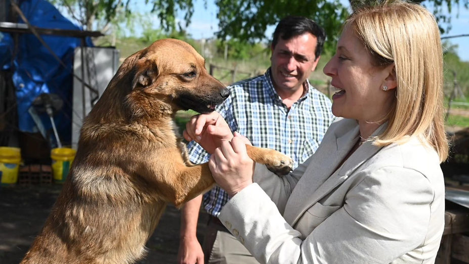 En cada recorrida por la invencible, ellos también son protagonistas