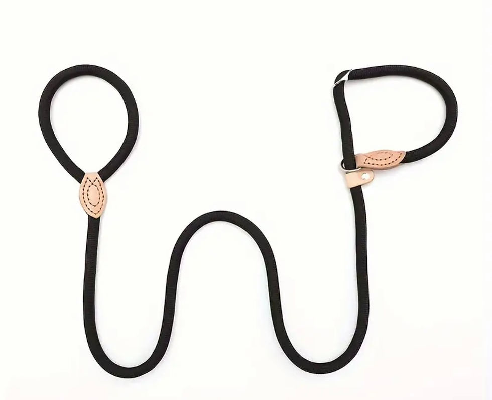 Miniature : Laisse Lasso