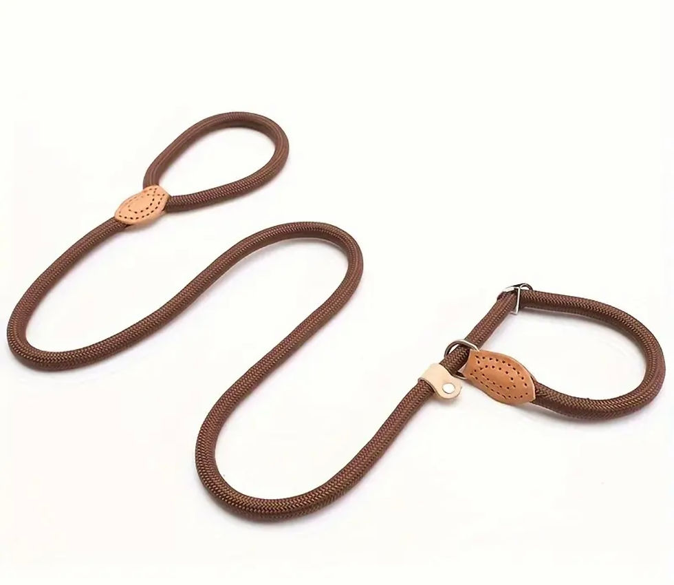 Miniature : Laisse Lasso