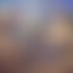 Trip to the Del Mar Fair!