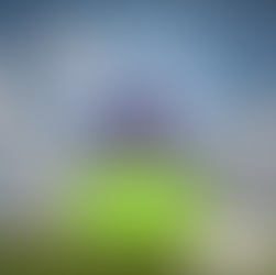 Descubra o que a ecologia pode fazer por si