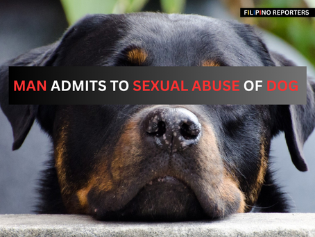 Porter admits to Sexual Abuse of Dog on Live Radio