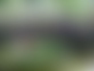 High-Powered NPA Weapons Cache Discovered in Labo, Camarines Norte