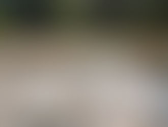 Two Americans Among 19 Killed in Raid on Suspected Communist Stronghold in Negros