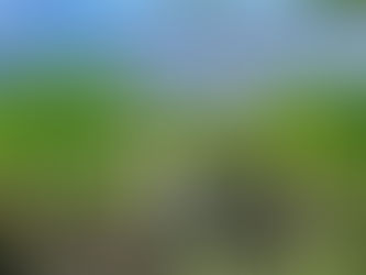 Skeletons found near Taal Lake — are these the missing sabungeros?