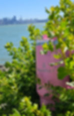 Thumbnail: Pink Marshmallow
