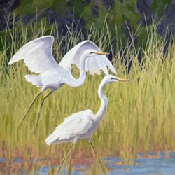 West Basin Egrets