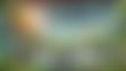 [Insight] 2024년 국내 공공기관 ESG 경영체계 도입 현황