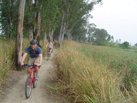 Bike Hong Kong’s wild side!