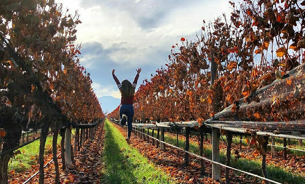 Mendoza - Argentiniens Weinanbau Hochburg