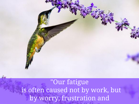 Information Without Implementation Leads to Frustration