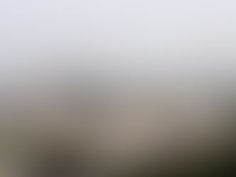 [세계일보] 울산시민 85% “가난한 나라 돕겠다”