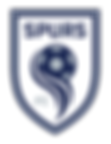 Spurs-ALL-LOGOS_js-01+(1).png