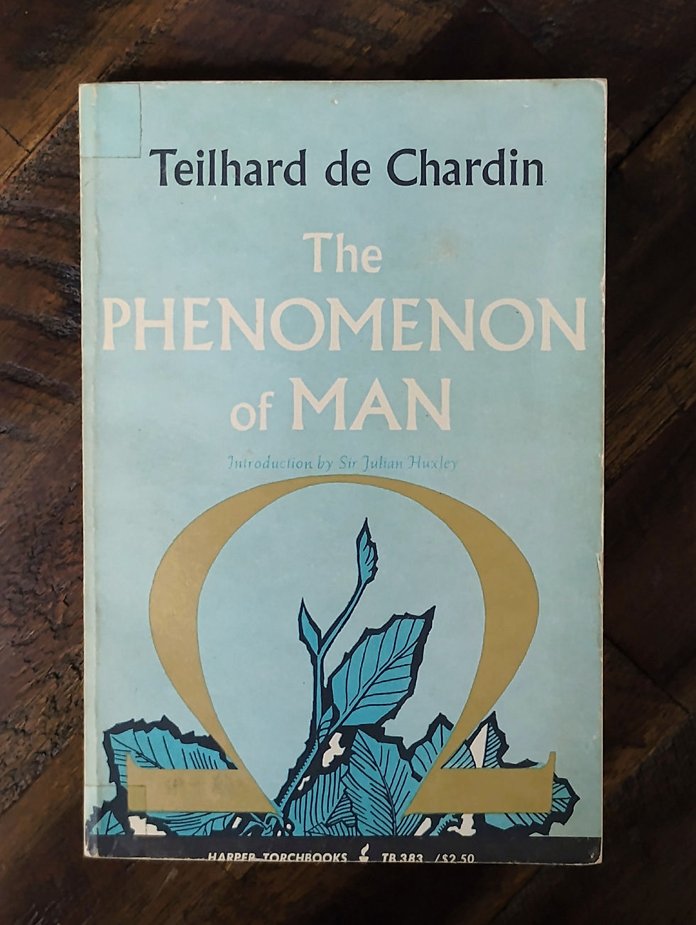 Thumbnail: The Phenomenon of Man - Pierre Teilhard de Chardin
