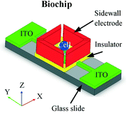 Biochip