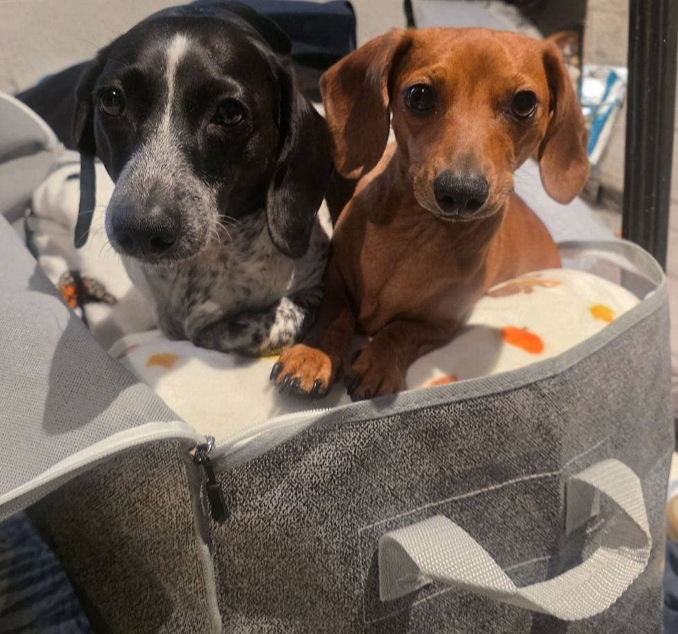 OLIVER & PIXEL CANT WAIT TO START ON YOUR ORDER!!