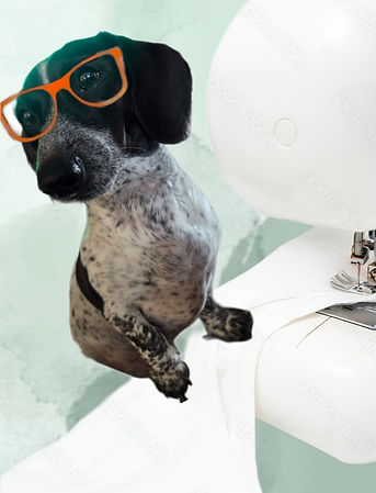 Screenshot_20251015_110916_Photo Editor(2)_edited_edited_edited.jpg