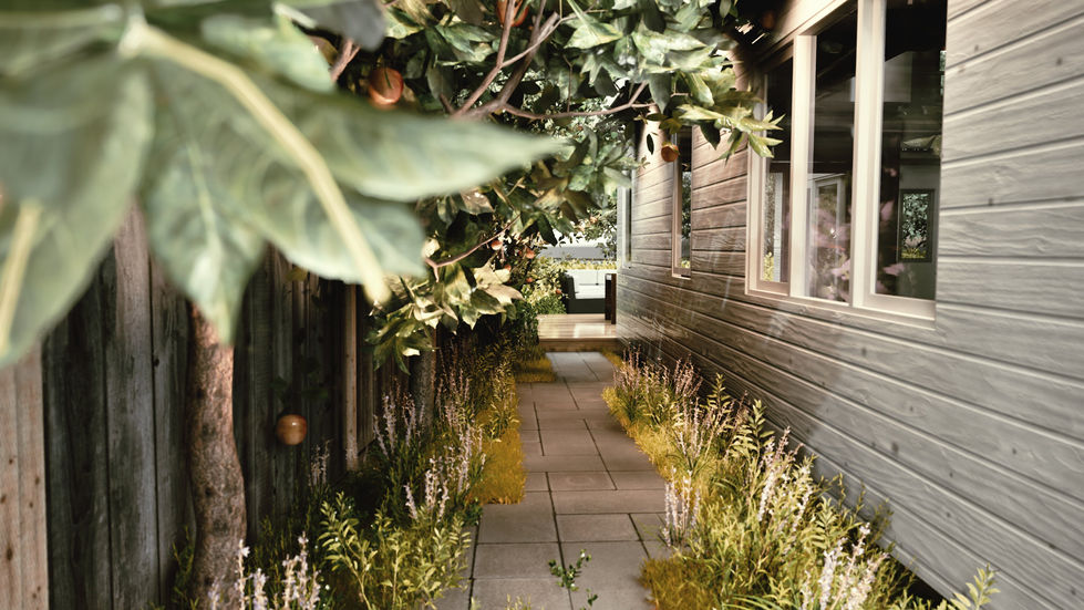 Paving, path, steps, fruit trees
