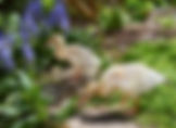 DSC_0110.jpeg
